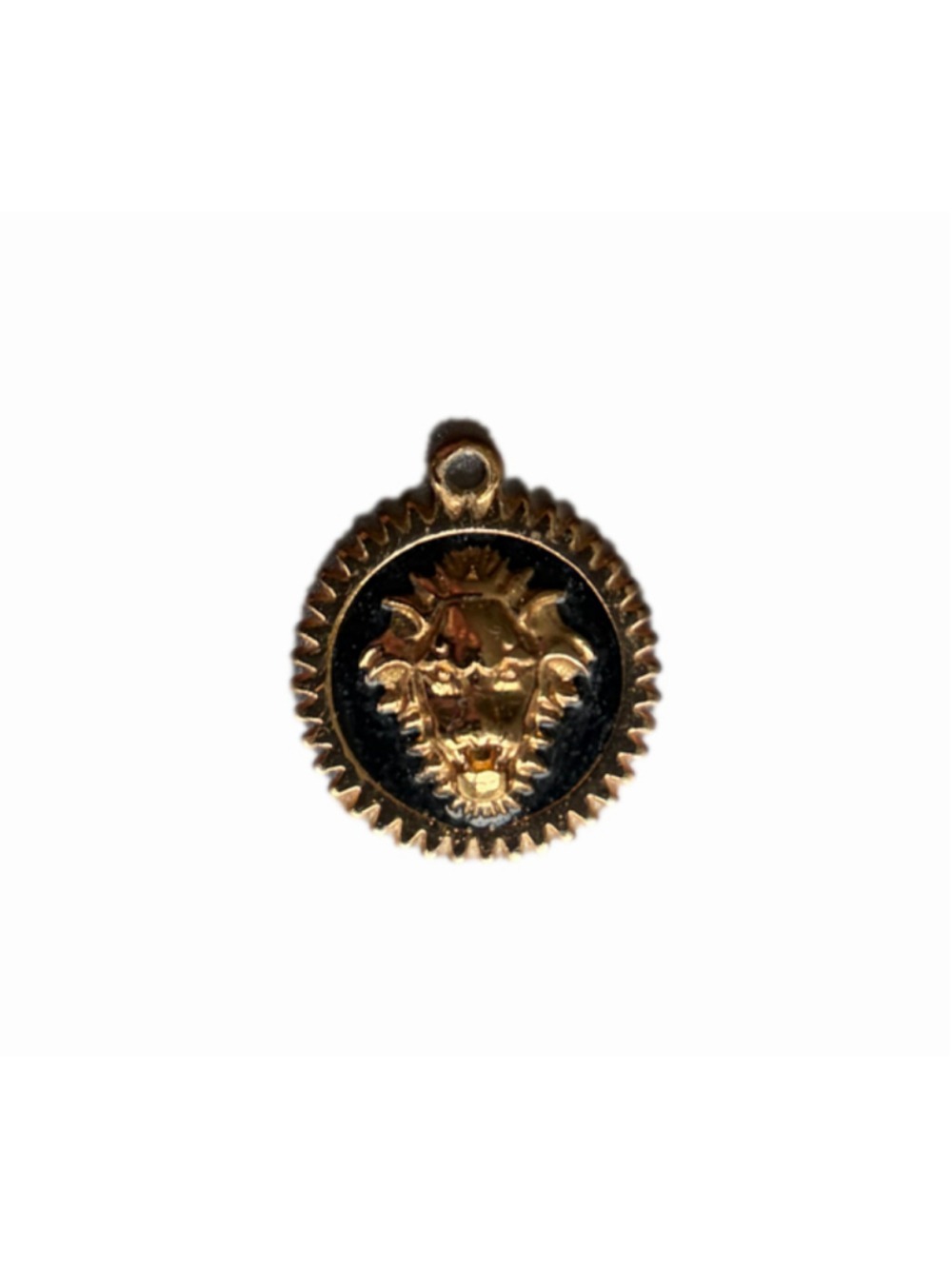 Women's Gold and Black Lion Head Pendant Necklace